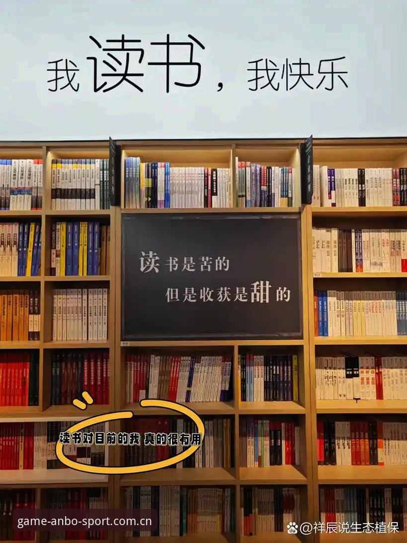安博体育平台流畅体验实用指南：从下载到沉浸的必备知识